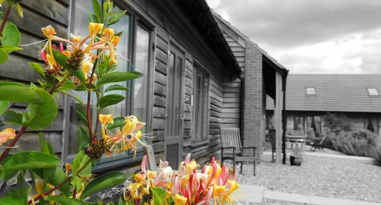 Elm Tree Farm Accommodation ميلتون كينيز المظهر الخارجي الصورة